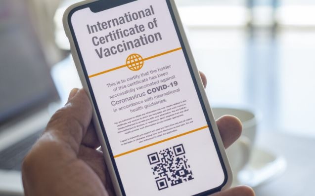 Властите в Обединеното кралство няма да въведат COVID паспорти Това